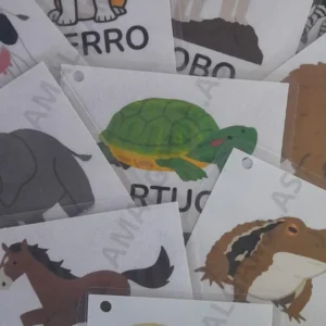 Línea Didácticas Gráficas: Material Áulico