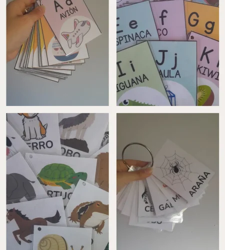 Linea-didactica-amalgama